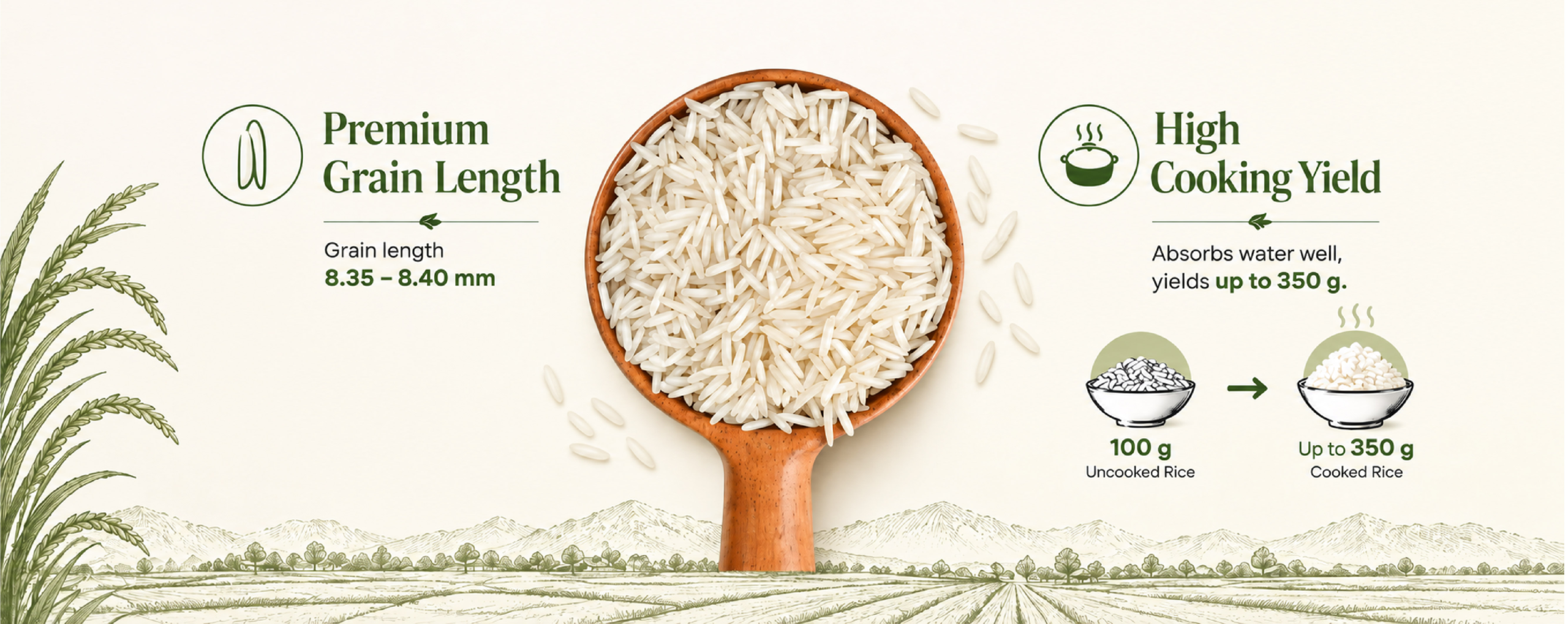 1718 Basmati Rice