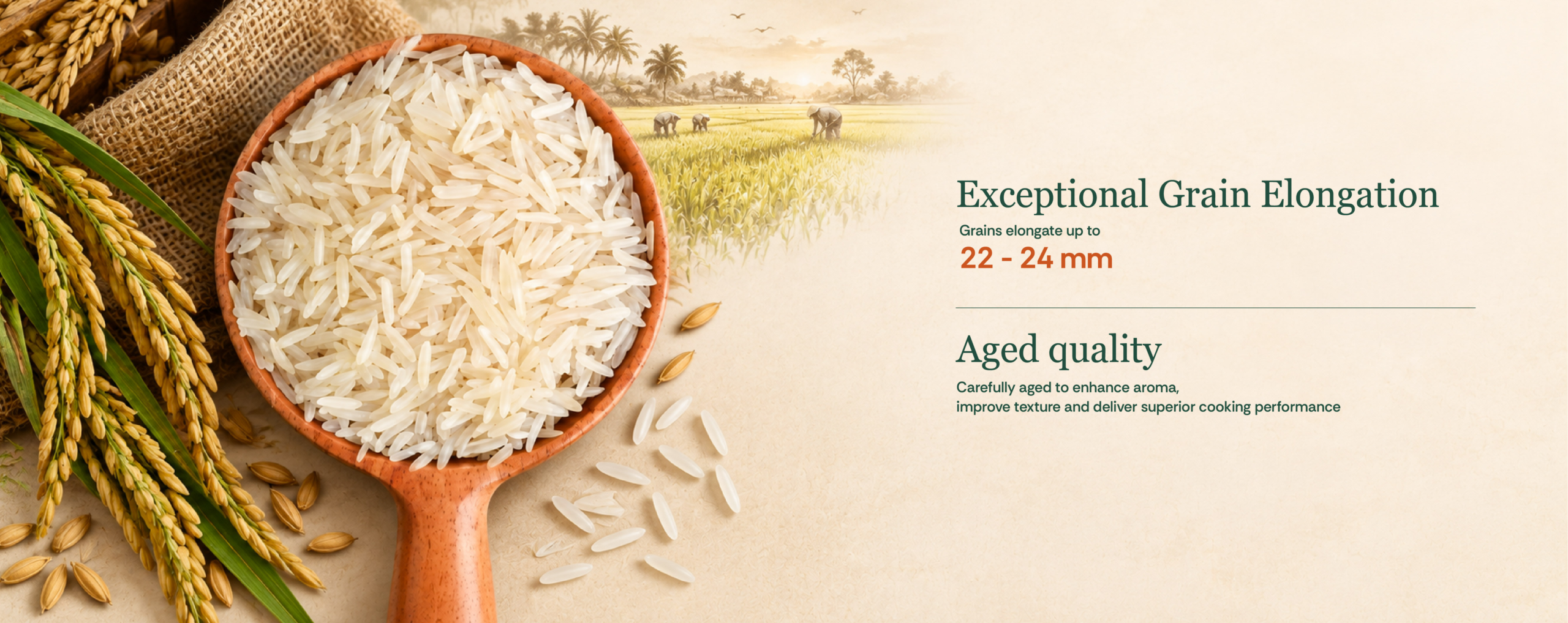 1509 Basmati Rice